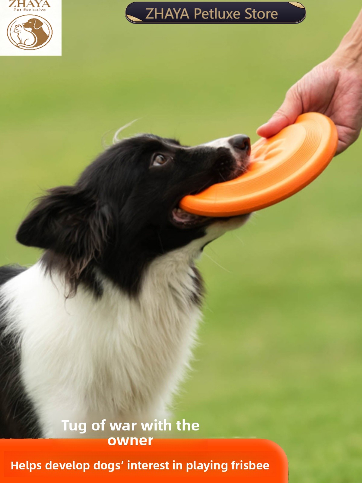 Flying Disc Dog Training Toy - Diskus Terbang Anjing Lembut Tahan Lama