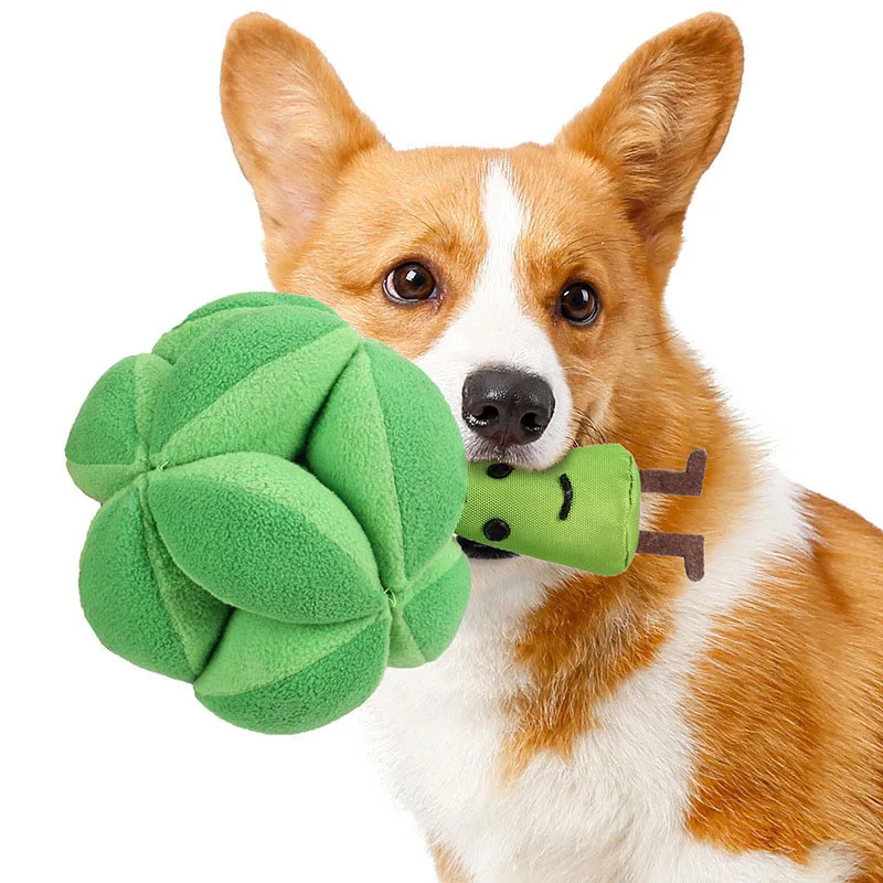 Dog Puzzle Feeder Toy - Mainan Puzzle Anjing Snuffle Broccoli Meningkatkan
