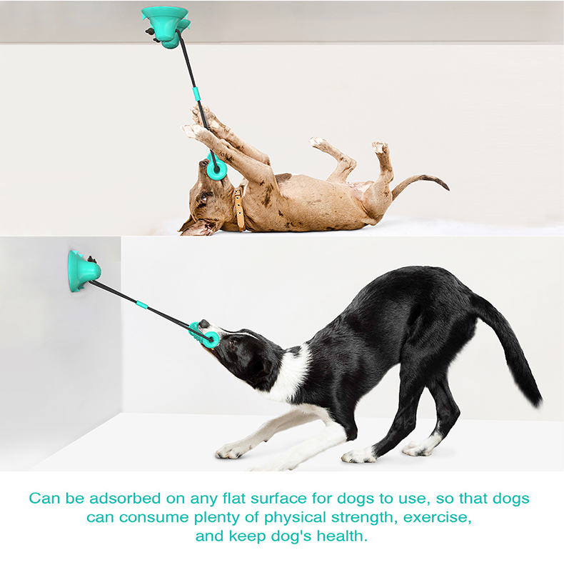 Dog Rope Toy Aggressive Chewers - Mainan Tali Gigit Anjing dengan Dua