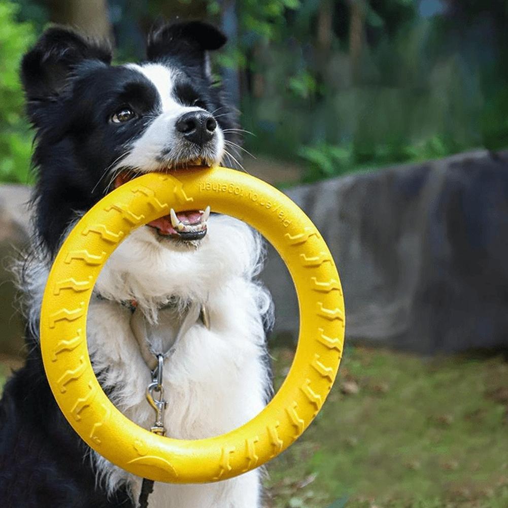 Suction Cup Dog Tug Toy - Mainan Cincin Anjing yang Tahan Lama,