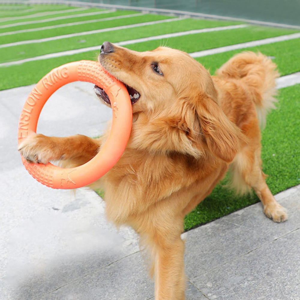 1 buah mainan anjing hewan pel - Flying Disc Dog Training Toy ulasan dan harga