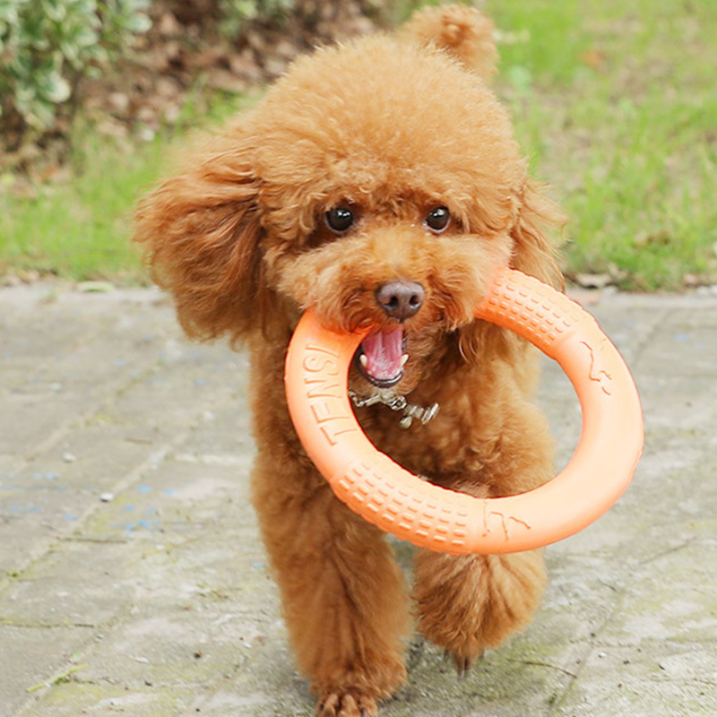 1 buah mainan anjing hewan pel - Flying Disc Dog Training Toy ulasan dan harga
