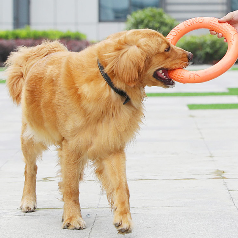 1 buah mainan anjing hewan pel - Flying Disc Dog Training Toy ulasan dan harga