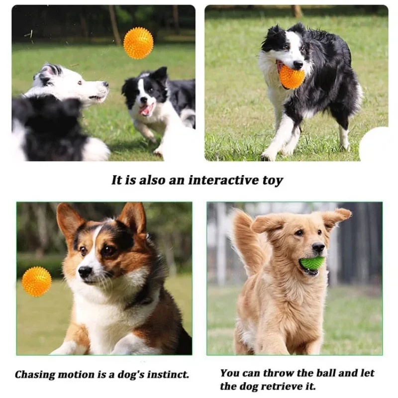 Mainan Bola Berduri TPR untuk  - Interactive Squeaky Plush Dog Toy ulasan dan harga
