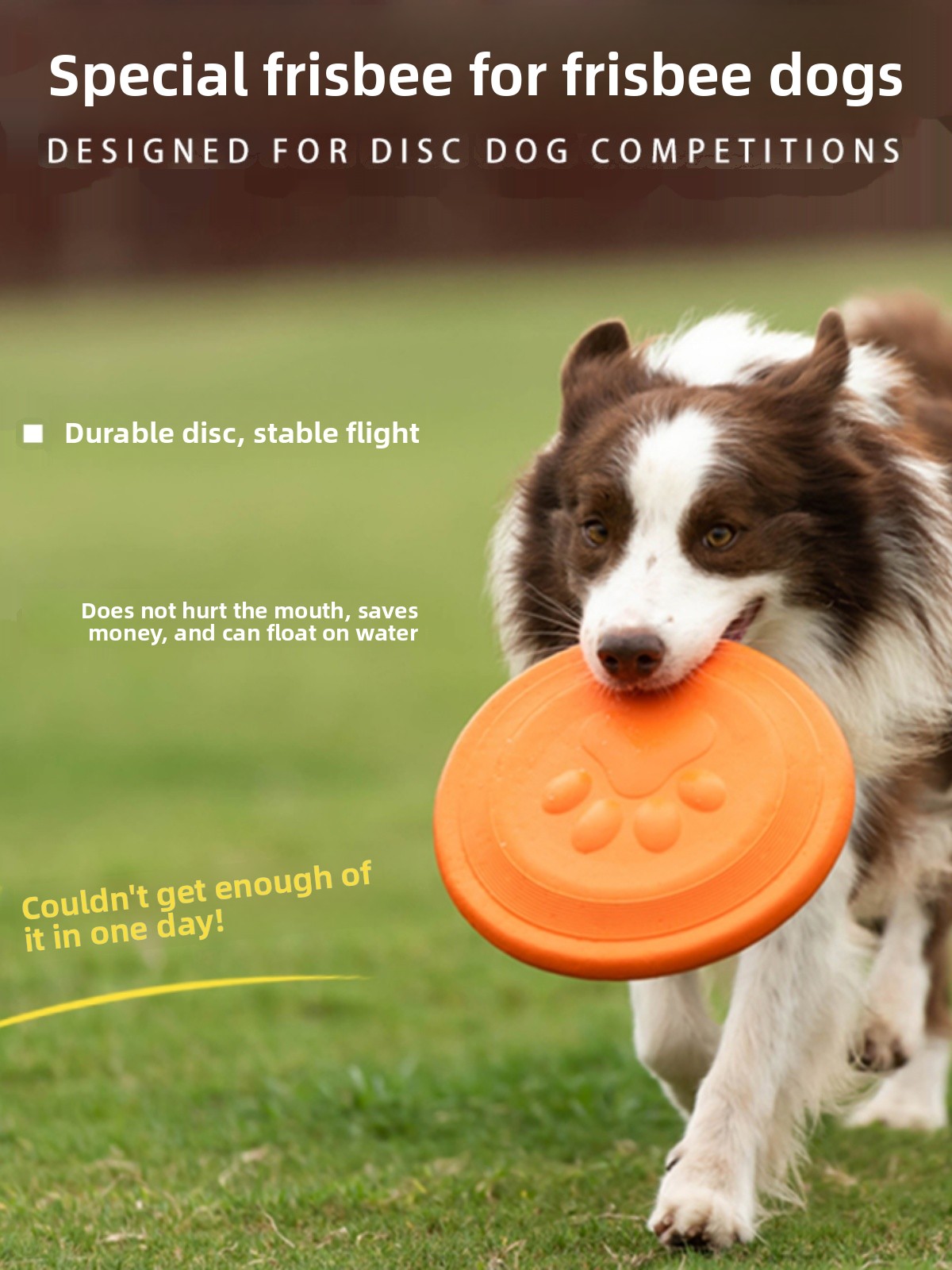 Diskus Terbang Anjing Lembut T - Flying Disc Dog Training Toy ulasan dan harga