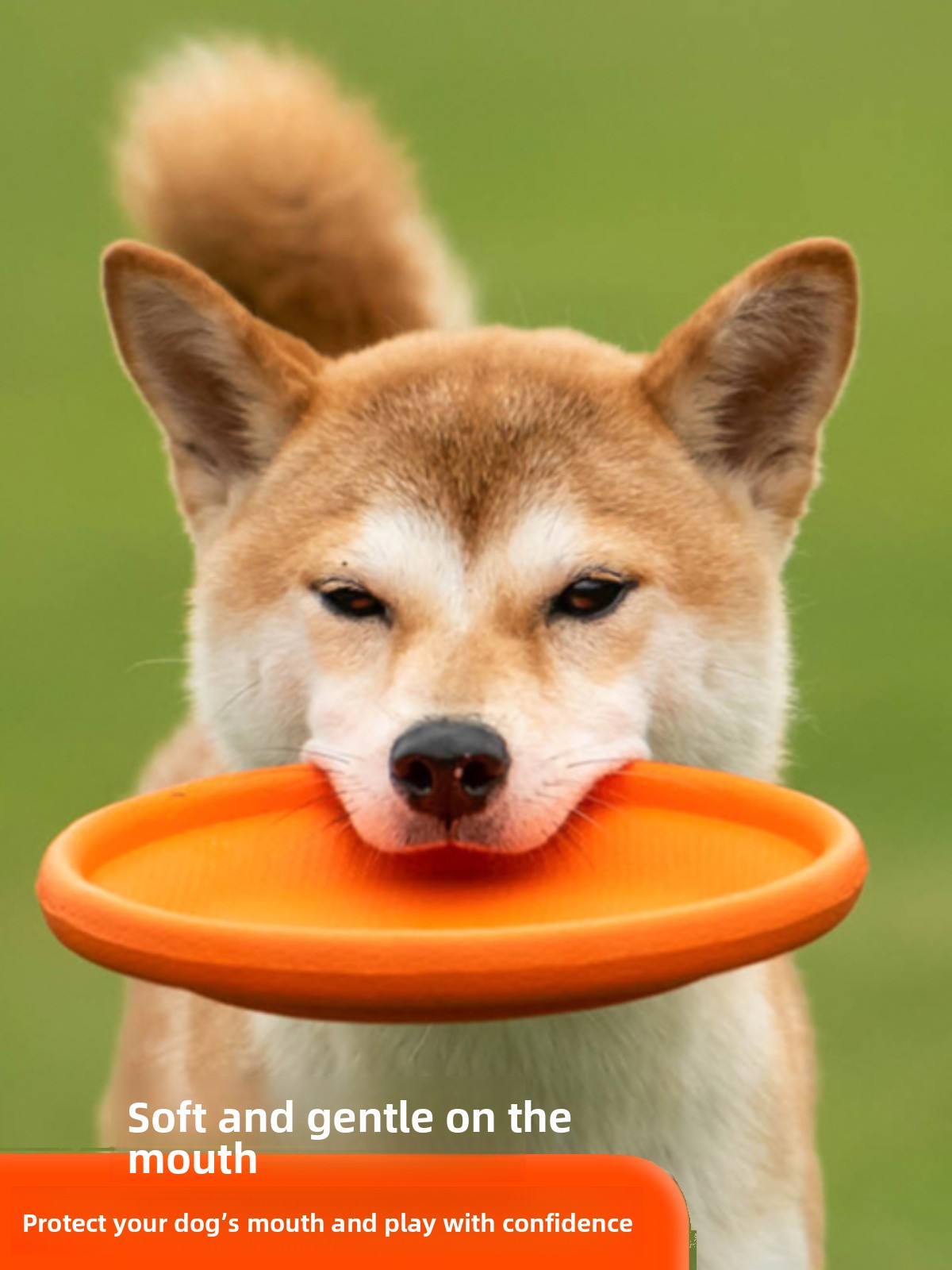 Diskus Terbang Anjing Lembut T - Flying Disc Dog Training Toy ulasan dan harga