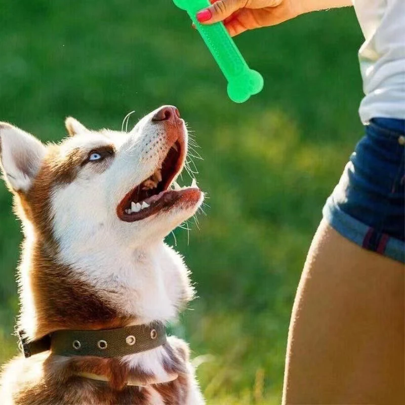 Mainan Kunyah Tulang Anjing Su - Teeth Cleaning Dog Chew Bone ulasan dan harga