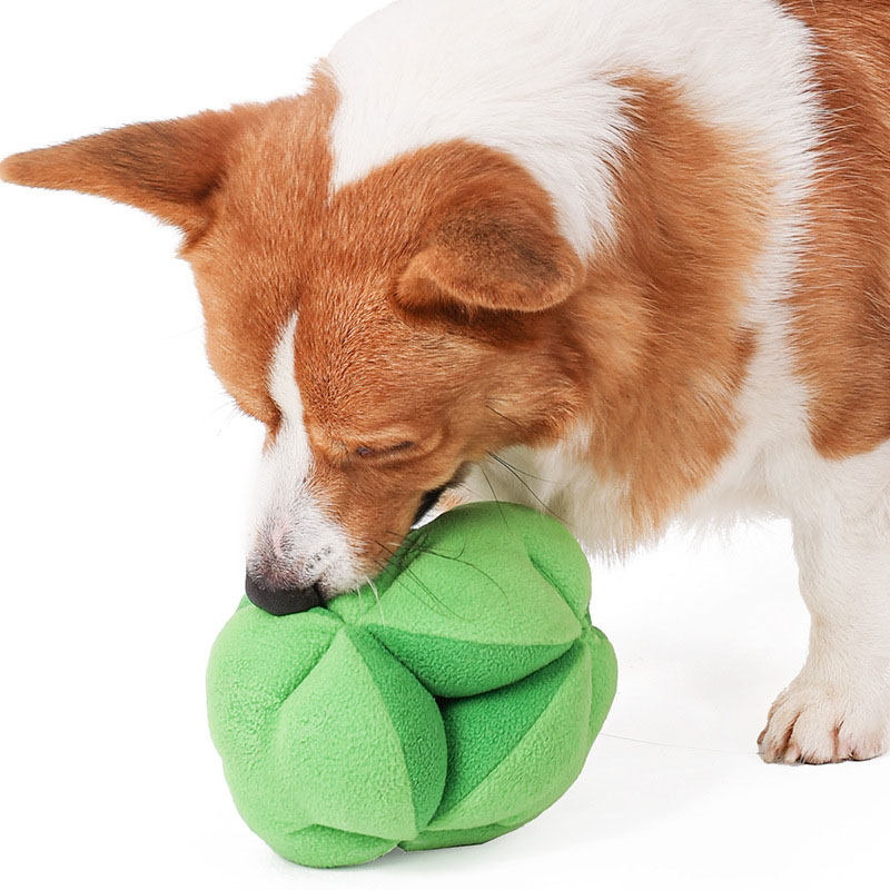 Mainan Puzzle Anjing Snuffle B - Dog Puzzle Feeder Toy ulasan dan harga