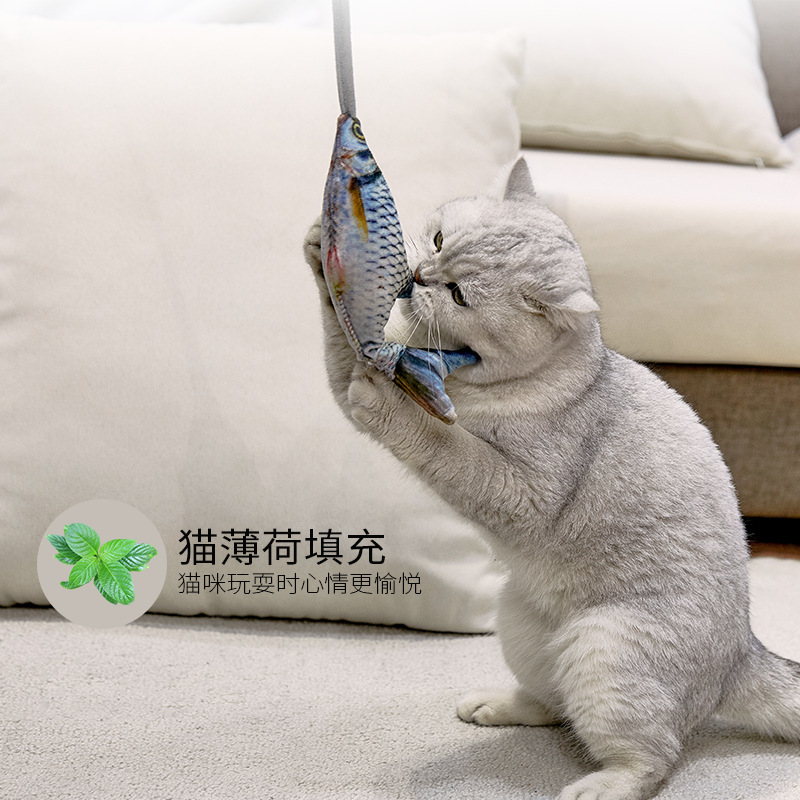 Mainan Ikan Elektrik Lucu yang - Electric Floppy Fish Dog Toy ulasan dan harga