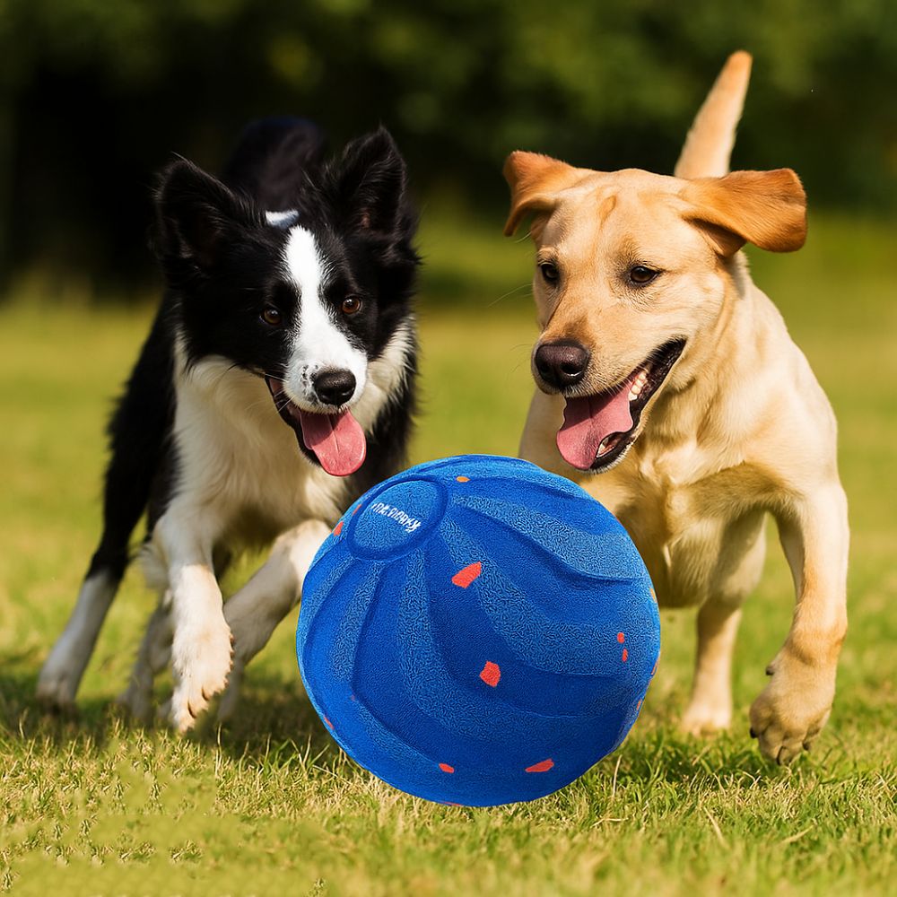 Bola Mainan Anjing Pintar Taha - Automatic Moving Dog Ball ulasan dan harga