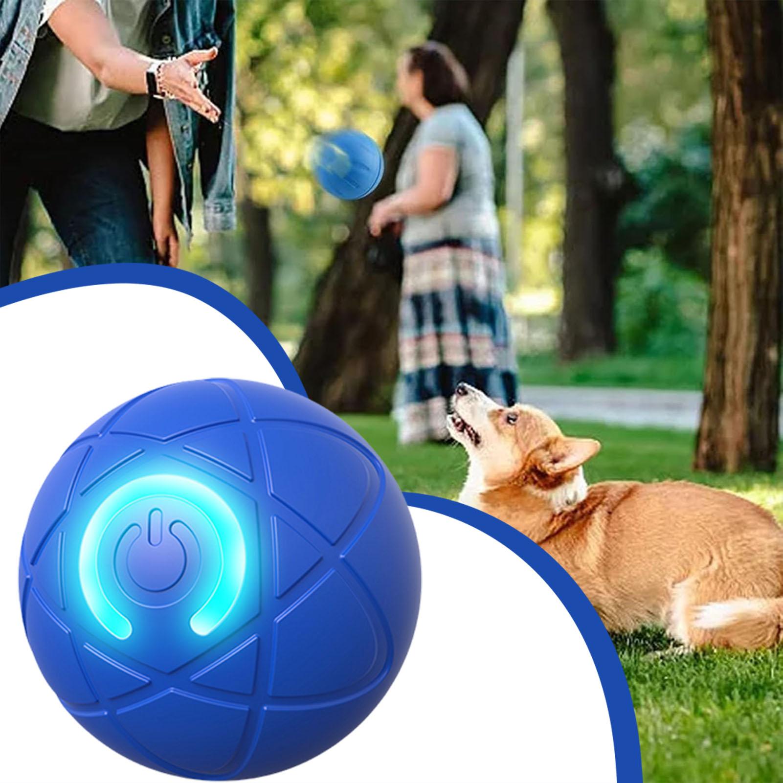 Mainan Anjing Pintar Bola Elek - Automatic Moving Dog Ball ulasan dan harga