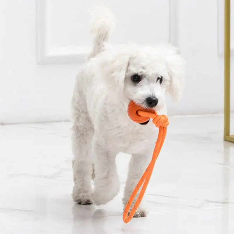 Bola pelatihan anjing di tali  - Suction Cup Dog Tug Toy ulasan dan harga