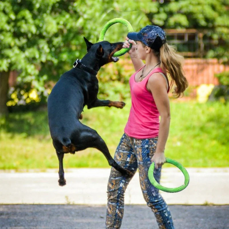 Mainan anjing hewan peliharaan - Flying Disc Dog Training Toy ulasan dan harga