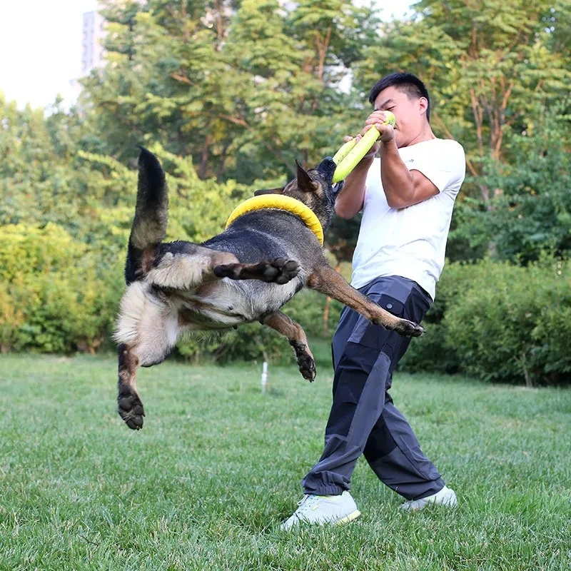 Mainan anjing hewan peliharaan - Flying Disc Dog Training Toy ulasan dan harga