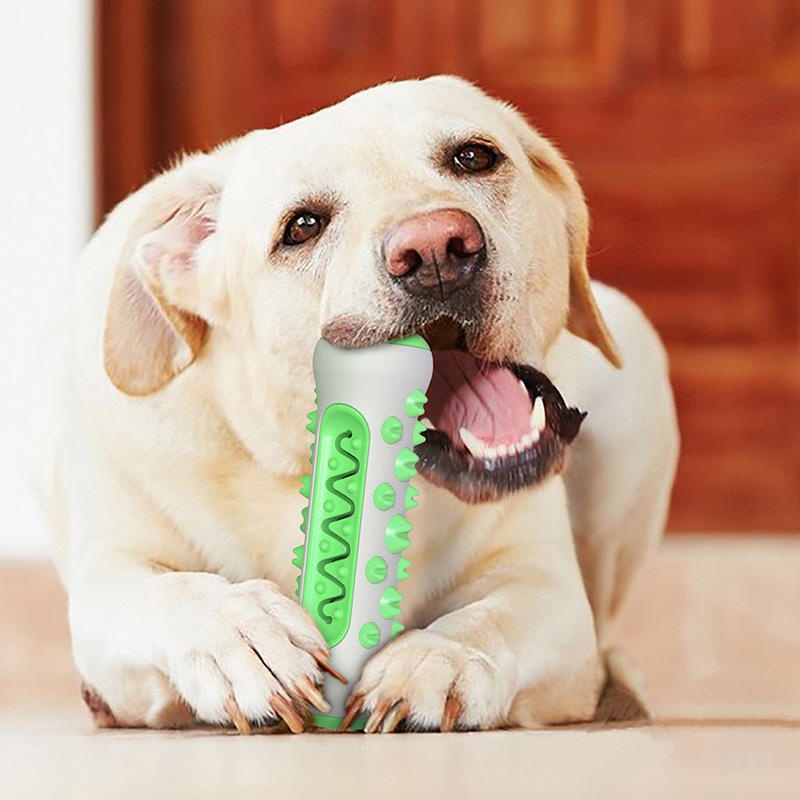 Mainan Kunyah Tulang Gigi Anji - Teeth Cleaning Dog Chew Bone ulasan dan harga